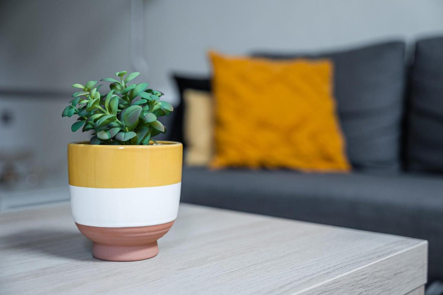 Apartamento Guestready - Sao Bras Mezzanine *